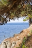 Файл=DSC00018.jpg
Объём=232KB
Размеры=900x1344
Дата=Сент 26, 2011 DSC00018.jpg