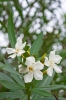 Файл=DSC00119.jpg
Объём=134KB
Размеры=900x1344
Дата=Окт 14, 2011 DSC00119.jpg