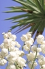 Файл=DSC00190.jpg
Объём=181KB
Размеры=900x1344
Дата=Окт 14, 2011 DSC00190.jpg