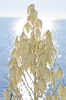 Файл=DSC00236.jpg
Объём=222KB
Размеры=900x1344
Дата=Окт 22, 2011 DSC00236.jpg