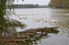 Файл=DSC00263.jpg
Объём=276KB
Размеры=1300x863
Дата=Окт 25, 2011 DSC00263.jpg