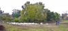 Файл=DSC00283.jpg
Объём=406KB
Размеры=1500x703
Дата=Окт 25, 2011 DSC00283.jpg