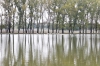 Файл=DSC00297.jpg
Объём=528KB
Размеры=1300x870
Дата=Окт 25, 2011 DSC00297.jpg
