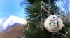 Файл=DSC00504.jpg
Объём=397KB
Размеры=1300x711
Дата=Фев 03, 2012 DSC00504.jpg