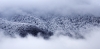 Файл=DSC00618.jpg
Объём=492KB
Размеры=1600x793
Дата=Янв 17, 2012 DSC00618.jpg