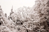 Файл=DSC00835.jpg
Объём=277KB
Размеры=1300x870
Дата=Март 13, 2012 DSC00835.jpg