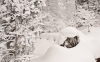 Файл=DSC00836.jpg
Объём=327KB
Размеры=1300x812
Дата=Март 13, 2012 DSC00836.jpg