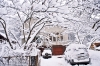 Файл=DSC01042.jpg
Объём=456KB
Размеры=1300x870
Дата=Март 13, 2012 DSC01042.jpg