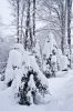 Файл=DSC01052.jpg
Объём=310KB
Размеры=1000x1497
Дата=Март 13, 2012 DSC01052.jpg
