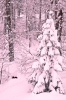 Файл=DSC01070.jpg
Объём=552KB
Размеры=900x1344
Дата=Март 13, 2012 DSC01070.jpg