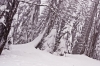 Файл=DSC01073.jpg
Объём=364KB
Размеры=1300x870
Дата=Март 13, 2012 DSC01073.jpg