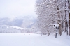 Файл=DSC01204.jpg
Объём=318KB
Размеры=1300x870
Дата=Апр 09, 2012 DSC01204.jpg