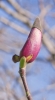 Файл=DSC01469.jpg
Объём=363KB
Размеры=900x1627
Дата=Апр 06, 2012 DSC01469.jpg