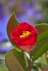 Файл=DSC01506.jpg
Объём=320KB
Размеры=962x1398
Дата=Апр 06, 2012 DSC01506.jpg