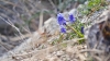 DSC01638.jpg