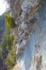 DSC01640.jpg