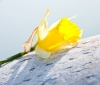 DSC01646.jpg
