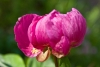 DSC05625~0.jpg