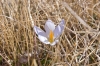 Файл=DSC05845.jpg
Объём=276KB
Размеры=1000x669
Дата=Май 05, 2010 DSC05845.jpg