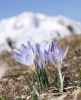 Файл=DSC05906.jpg
Объём=159KB
Размеры=700x864
Дата=Май 05, 2010 DSC05906.jpg