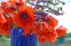 DSC06298.jpg