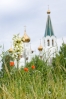 Файл=DSC06349.jpg
Объём=134KB
Размеры=600x896
Дата=Июнь 08, 2010 DSC06349.jpg