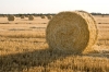 Файл=DSC06547.jpg
Объём=200KB
Размеры=900x596
Дата=Июнь 20, 2010 DSC06547.jpg