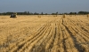 DSC06555.jpg