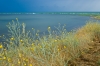 Файл=DSC06670.jpg
Объём=435KB
Размеры=1000x669
Дата=Июль 04, 2010 DSC06670.jpg