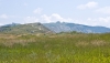 Файл=DSC06731.jpg
Объём=169KB
Размеры=1000x570
Дата=Июль 04, 2010 DSC06731.jpg