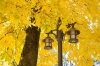 DSC07204.jpg