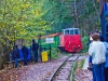 DSC07505.jpg