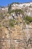 DSC07535.jpg