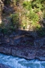 DSC07536.jpg