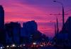 DSC07544.jpg