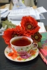 Файл=DSC07929.jpg
Объём=2207KB
Размеры=2608x3880
Дата=Март 22, 2011 DSC07929.jpg