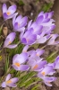 DSC08215.jpg