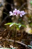 DSC08410.jpg