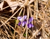 DSC08416.jpg