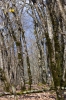 Файл=DSC08430.jpg
Объём=293KB
Размеры=900x1344
Дата=Апр 18, 2011 DSC08430.jpg