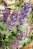 Файл=DSC08455.jpg
Объём=172KB
Размеры=900x1331
Дата=Апр 18, 2011 DSC08455.jpg