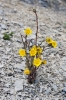 Файл=DSC08457.jpg
Объём=226KB
Размеры=900x1344
Дата=Апр 18, 2011 DSC08457.jpg