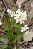 Файл=DSC08466.jpg
Объём=141KB
Размеры=900x1322
Дата=Апр 18, 2011 DSC08466.jpg