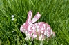 Файл=DSC08508.jpg
Объём=194KB
Размеры=1100x736
Дата=Апр 26, 2011 DSC08508.jpg