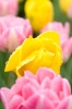 Файл=DSC08545.jpg
Объём=78KB
Размеры=1000x1494
Дата=Май 03, 2011 DSC08545.jpg
