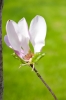 Файл=DSC08572.jpg
Объём=203KB
Размеры=1000x1494
Дата=Май 03, 2011 DSC08572.jpg