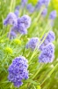 Файл=DSC08649.jpg
Объём=204KB
Размеры=900x1344
Дата=Май 04, 2011 DSC08649.jpg