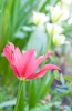Файл=DSC08651.jpg
Объём=148KB
Размеры=900x1376
Дата=Май 04, 2011 DSC08651.jpg