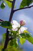 Файл=DSC08662.jpg
Объём=267KB
Размеры=1000x1494
Дата=Май 04, 2011 DSC08662.jpg