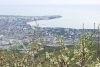 DSC08729.jpg